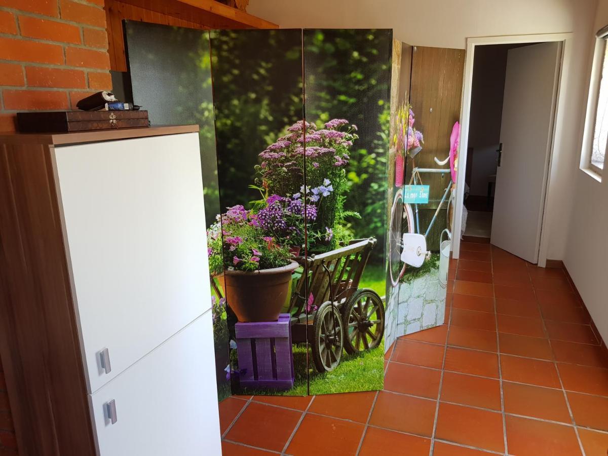 מלון ויאנה דו קסטלו Casa Do Adro מראה חיצוני תמונה